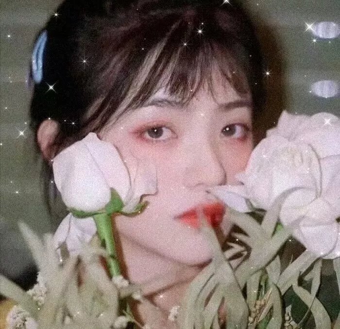 踏破硝烟