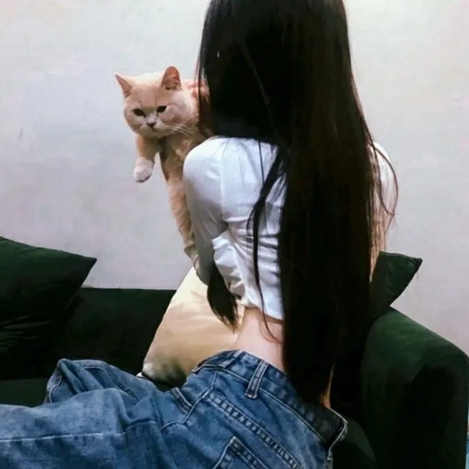 哈蜜